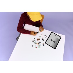 LEGO 76459 Harry Potter Fuga da Privet Drive di Hagrid™ e Harry