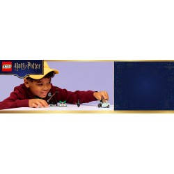 LEGO 76459 Harry Potter Fuga da Privet Drive di Hagrid™ e Harry
