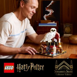 LEGO 76466 Harry Potter Pietra filosofale – Edizione del collezionista