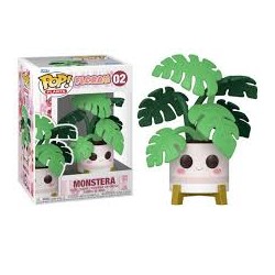 Pop Plants - Sflora - Monstera 12