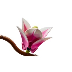 LEGO Botanicals 11510 Rametti di magnolia
