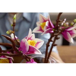 LEGO Botanicals 11510 Rametti di magnolia