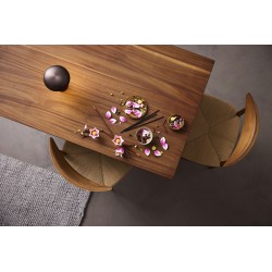 LEGO Botanicals 11510 Rametti di magnolia