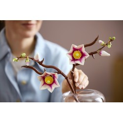 LEGO Botanicals 11510 Rametti di magnolia