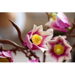 LEGO Botanicals 11510 Rametti di magnolia