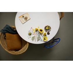 LEGO Botanicals  11502 Bouquet di girasoli