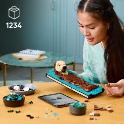 LEGO Ideas 21366 Lontre marine