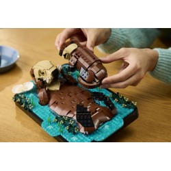 LEGO Ideas 21366 Lontre marine