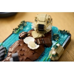 LEGO Ideas 21366 Lontre marine