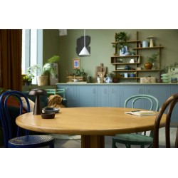 LEGO Ideas 21366 Lontre marine