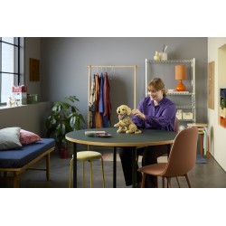 LEGO ICONS 11384 Cucciolo di Golden Retriever