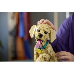 LEGO ICONS 11384 Cucciolo di Golden Retriever