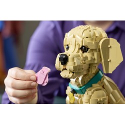 LEGO ICONS 11384 Cucciolo di Golden Retriever