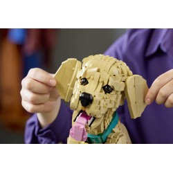 LEGO ICONS 11384 Cucciolo di Golden Retriever