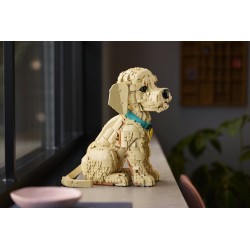 LEGO ICONS 11384 Cucciolo di Golden Retriever