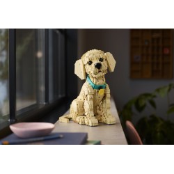 LEGO ICONS 11384 Cucciolo di Golden Retriever