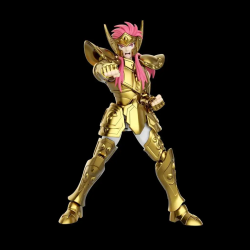 Blokees - Saint Seiya - Aquarius camus Champion Class