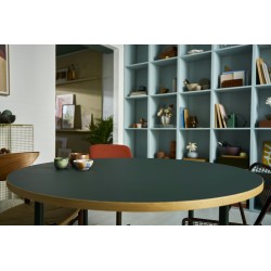 LEGO Pokémon 72151 Eevee, Kit Modellismo per Adulti dall'Anime, con Parti Snodabili, Decorazione Fai da Te, Regalo per Gamer