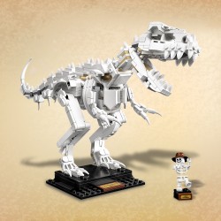 LEGO Ideas 21320 Fossili di dinosauro