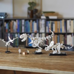 LEGO Ideas 21320 Fossili di dinosauro