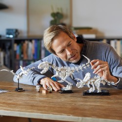 LEGO Ideas 21320 Fossili di dinosauro