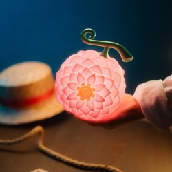 Erik. - Lampada One Piece - Flower Flower Fruit Lamp - USB/Batteria