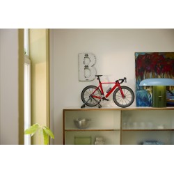 LEGO Icons 11380 Bici da Corsa, Kit Modellismo per Adulti con Pneumatici, Deragliatore e Supporto, Regalo per Fan di Ciclismo
