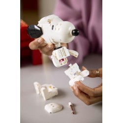 LEGO Ideas 21368 Peanuts: la Cuccia di Snoopy, Kit Modellismo da Esposizione per Adulti con Personaggi di Snoopy e Woodstock