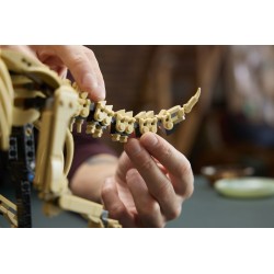 LEGO Jurassic World 77985 Fossili di Dinosauro: Triceratopo, Kit Modellismo per Adulti con Minifigure, Idea Regalo per Fan