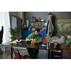 LEGO Pokémon 72160 Arcanine, Action Figure da Costruire per Adulti con Parti Snodabili, Idea Regalo per Gamer da Collezione