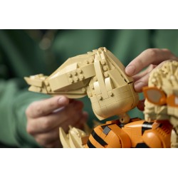 LEGO Pokémon 72160 Arcanine, Action Figure da Costruire per Adulti con Parti Snodabili, Idea Regalo per Gamer da Collezione