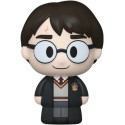 Funko Mini Moments: Harry Potter Anniversary- Harry