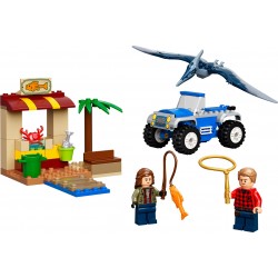 LEGO Pteranodon-Jagd