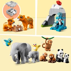 LEGO Animali dell’Asia