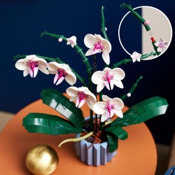 LEGO 10311 Icons Orquídeas, Flores Artificales para Construir para Adultos