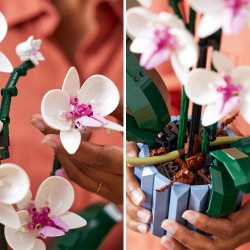LEGO 10311 Icons Orquídeas, Flores Artificales para Construir para Adultos