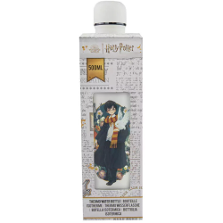 CINEREPLICAS - HARRY POTTER - BOTTIGLIA ISOTERMICA 500ML - RITRATTO DI HARRY POTTER