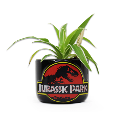 HALF MOON BAY - JURASSIC PARK - PLANT POT - JURASSIC PARK