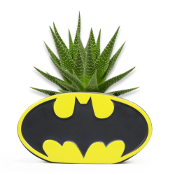 HALF MOON BAY - DC COMICS: THE BATMAN - PLANTER - BATMAN (LOGO)