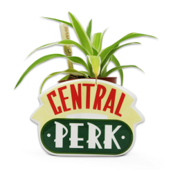 HALF MOON BAY - FRIENDS - PLANT POT - FRIENDS (CENTRAL PERK)