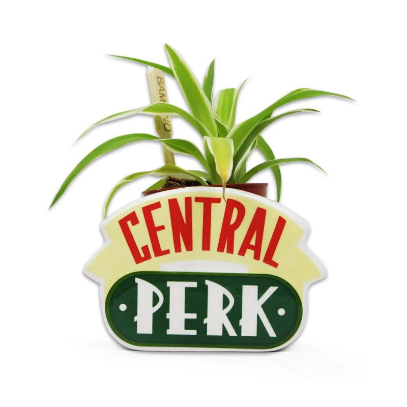 HALF MOON BAY - FRIENDS - PLANT POT - FRIENDS (CENTRAL PERK)