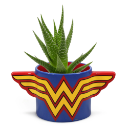 HALF MOON BAY - DC COMICS: WONDER WOMAN - PLANT POT - WONDER WOMAN