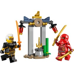 LEGO Kais und Raptons Duell im Tempel