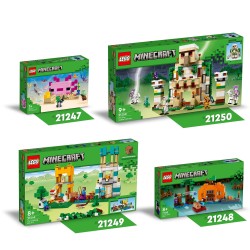 LEGO tbd- -21248