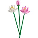 LEGO Fiori di loto