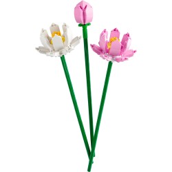 LEGO 40647 Creator Les Fleurs de Lotus