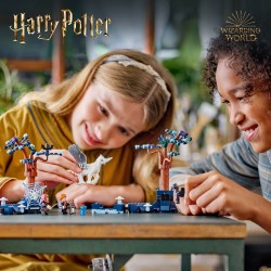 LEGO Harry Potter 76432 Foresta Proibita: creature magiche