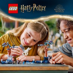 LEGO Harry Potter 76432 Foresta Proibita: creature magiche