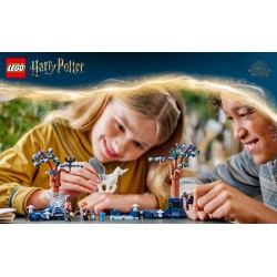 LEGO Harry Potter 76432 Foresta Proibita: creature magiche