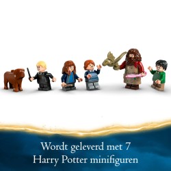 La cabane de Hagrid : une visite inattendue
